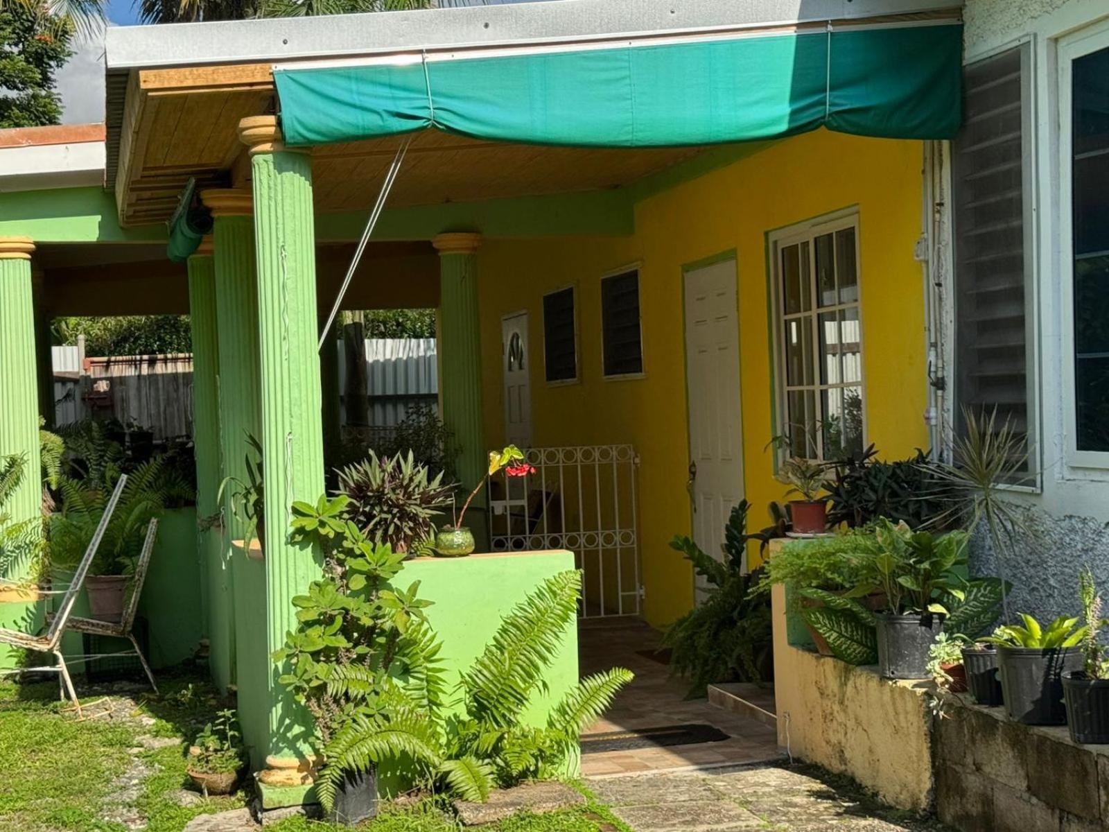 Shalom Suite 2, Manor Park Kingston Exterior foto